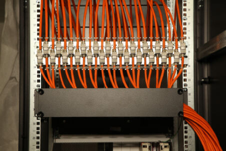 Panneau de maintien pour montage mural 19" de 24 coupleurs 37597.1
